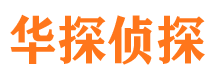 康乐侦探公司